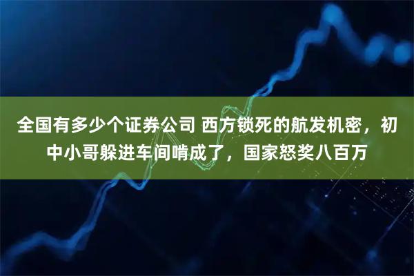 全国有多少个证券公司 西方锁死的航发机密，初中小哥躲进车间啃成了，国家怒奖八百万
