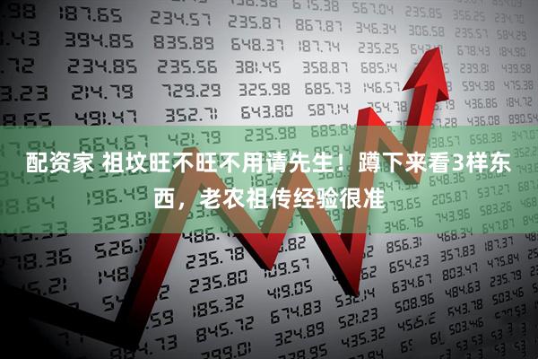 配资家 祖坟旺不旺不用请先生！蹲下来看3样东西，老农祖传经验很准
